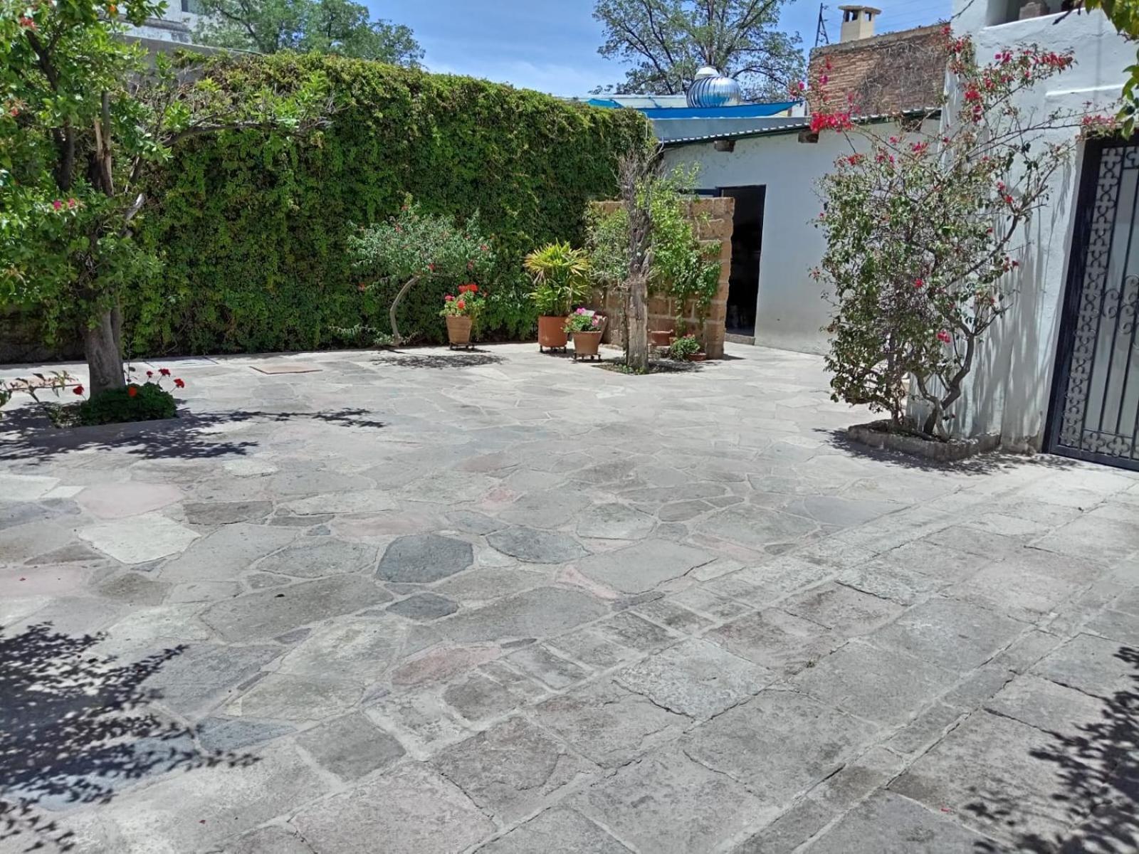 Hotel Casa Constanza San Luis Potosí Exteriör bild